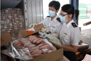 深圳凍肉進(jìn)口報(bào)關(guān)公司；深圳到香港物流-深圳東勝物流